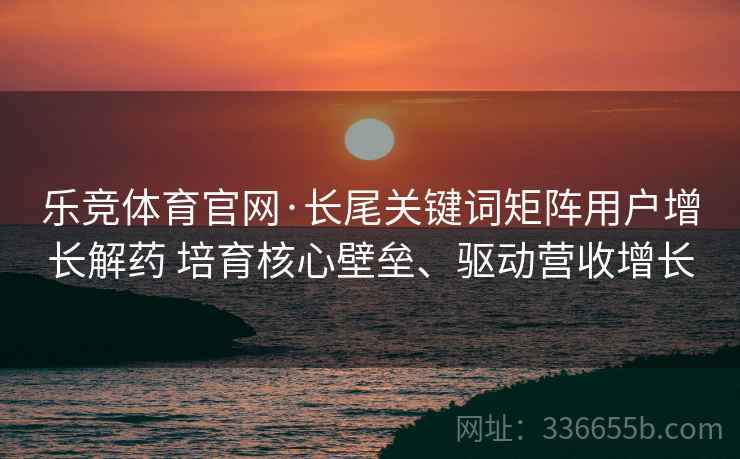 乐竞体育官网·长尾关键词矩阵用户增长解药 培育核心壁垒、驱动营收增长