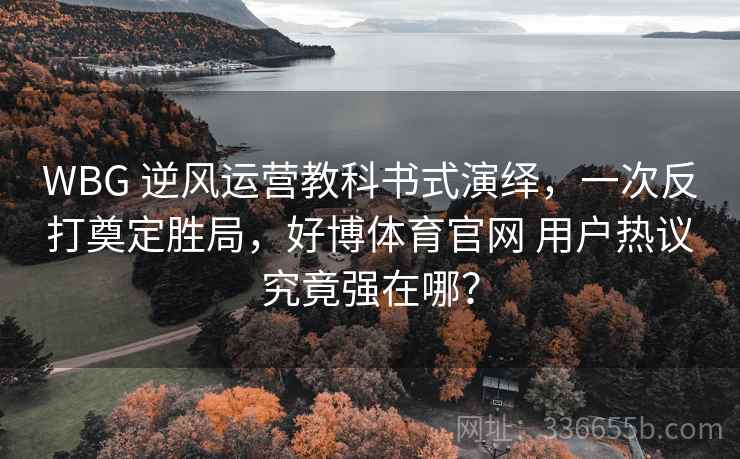 WBG 逆风运营教科书式演绎，一次反打奠定胜局，好博体育官网 用户热议究竟强在哪？