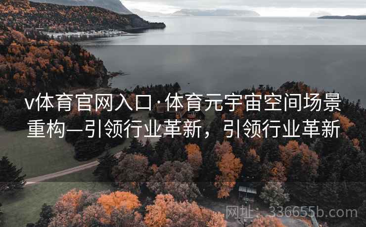 v体育官网入口·体育元宇宙空间场景重构—引领行业革新，引领行业革新